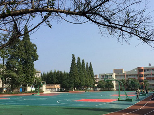 学校塑胶跑道高尔夫果岭草坪草维护 选择优质塑胶跑道远离毒跑道